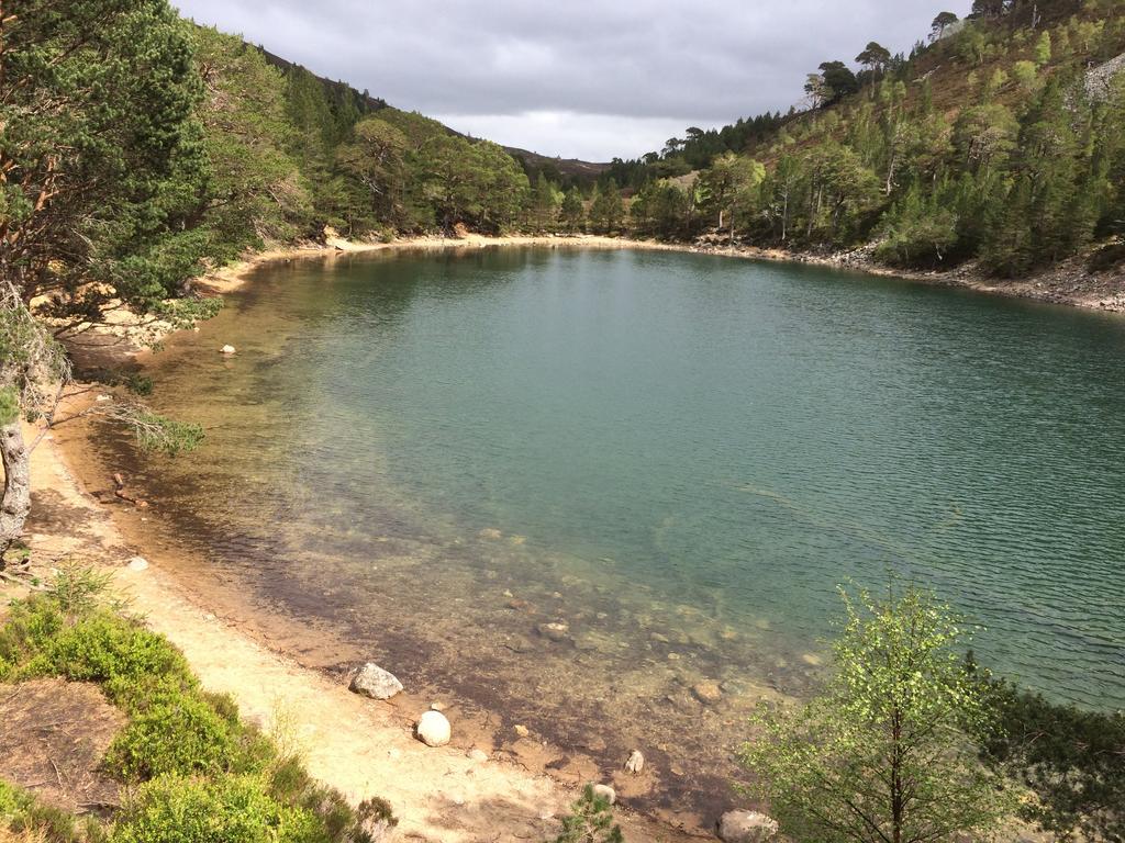 אבימור Riverbank Lodge מראה חיצוני תמונה